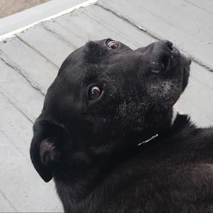 Meet your Posher, Jack